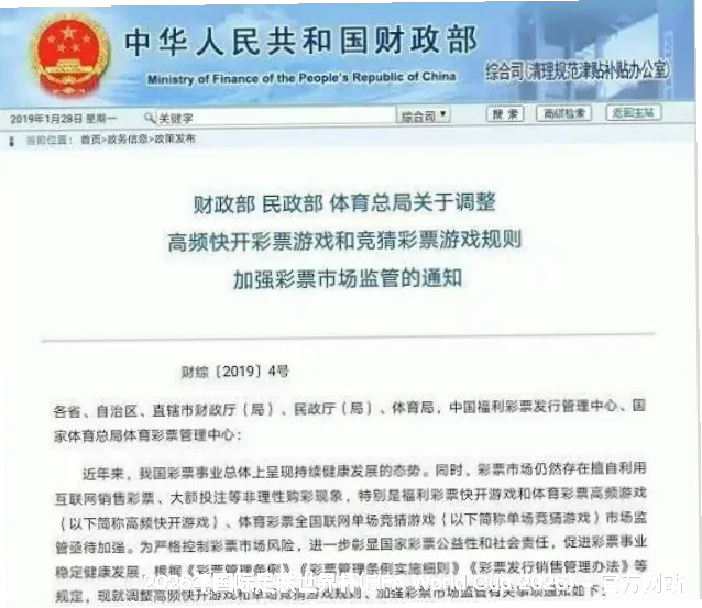 核心团队与专业资质