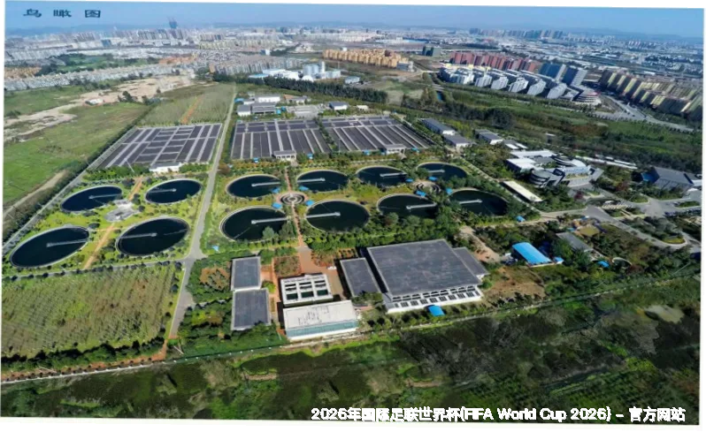 使用指南与风险提示